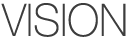 비전